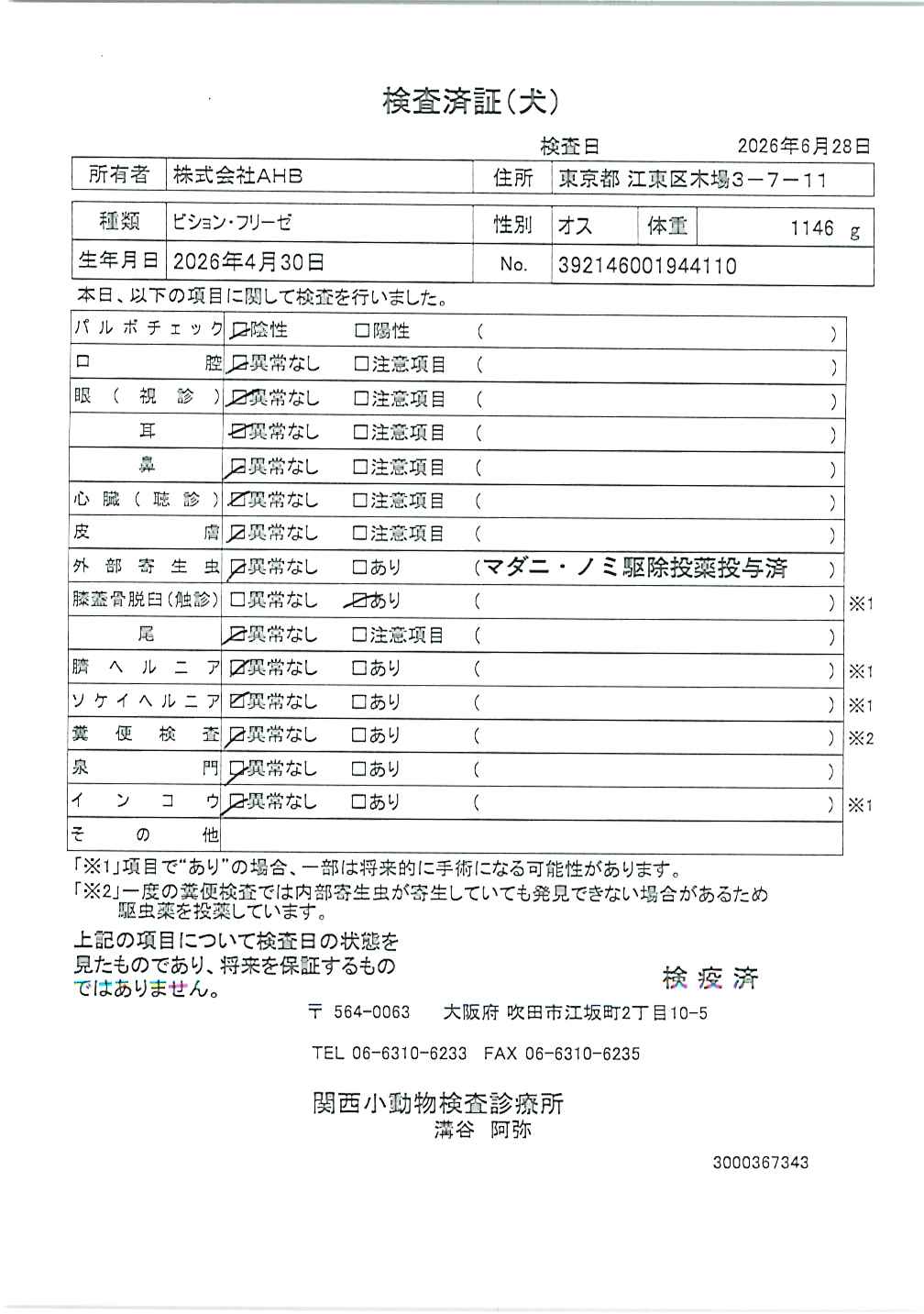 ビション・フリーゼ