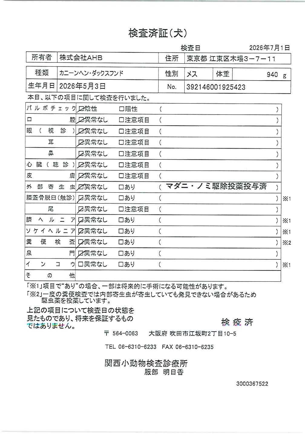 カニーンヘン・ダックスフンド