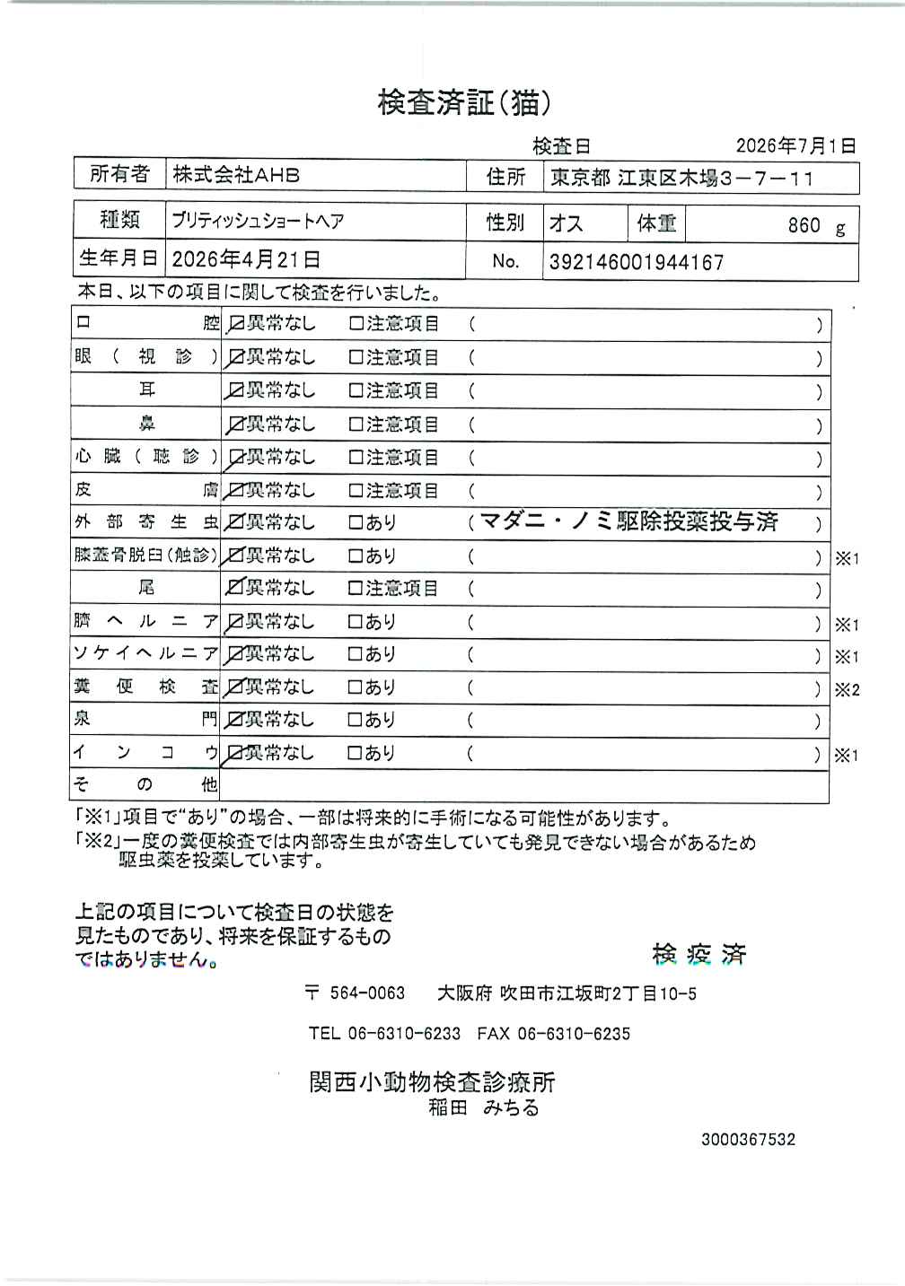 ブリティッシュショートヘア