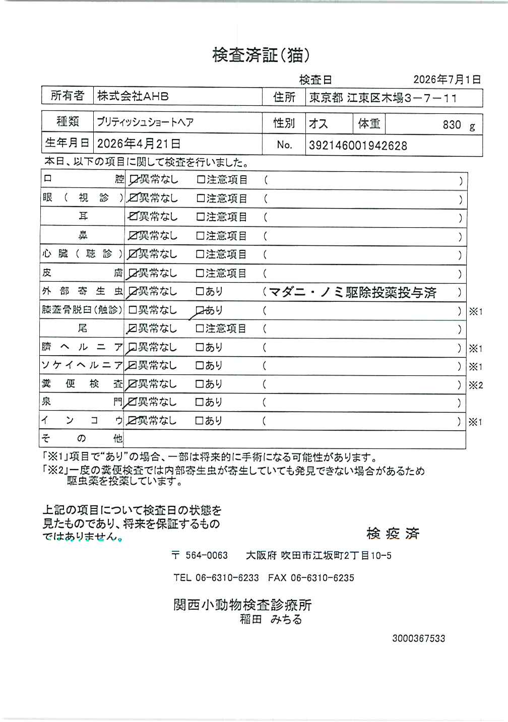 ブリティッシュショートヘア