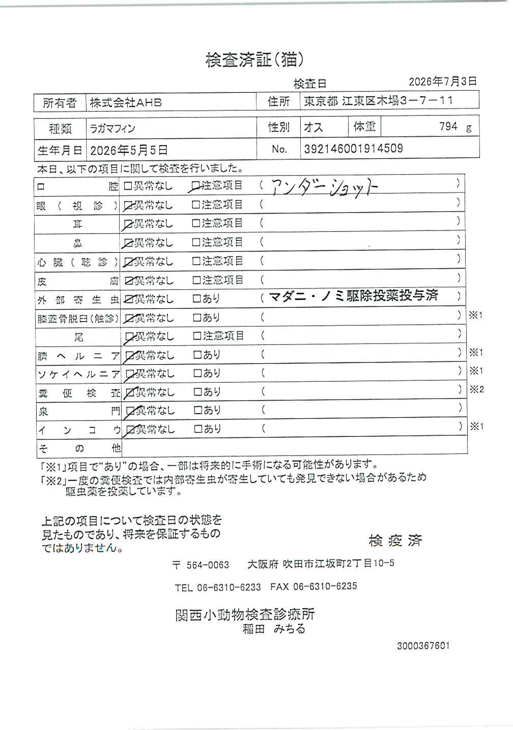 ラガマフィン