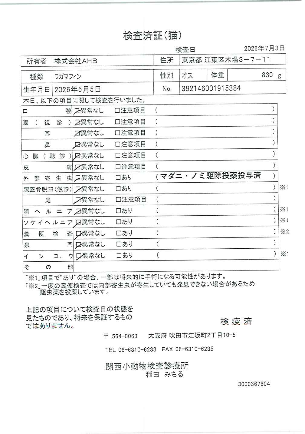 ラガマフィン