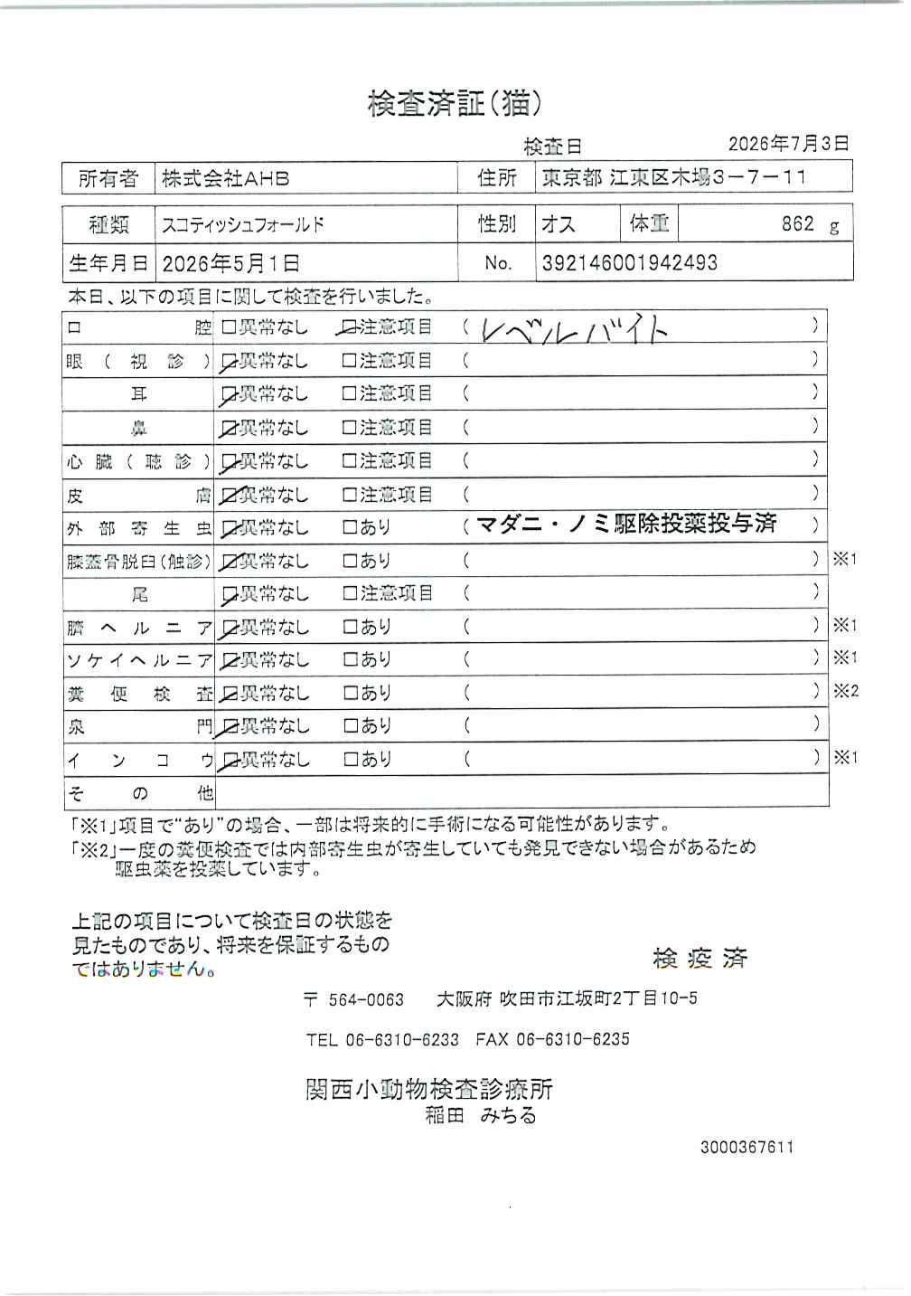 スコティッシュフォールド