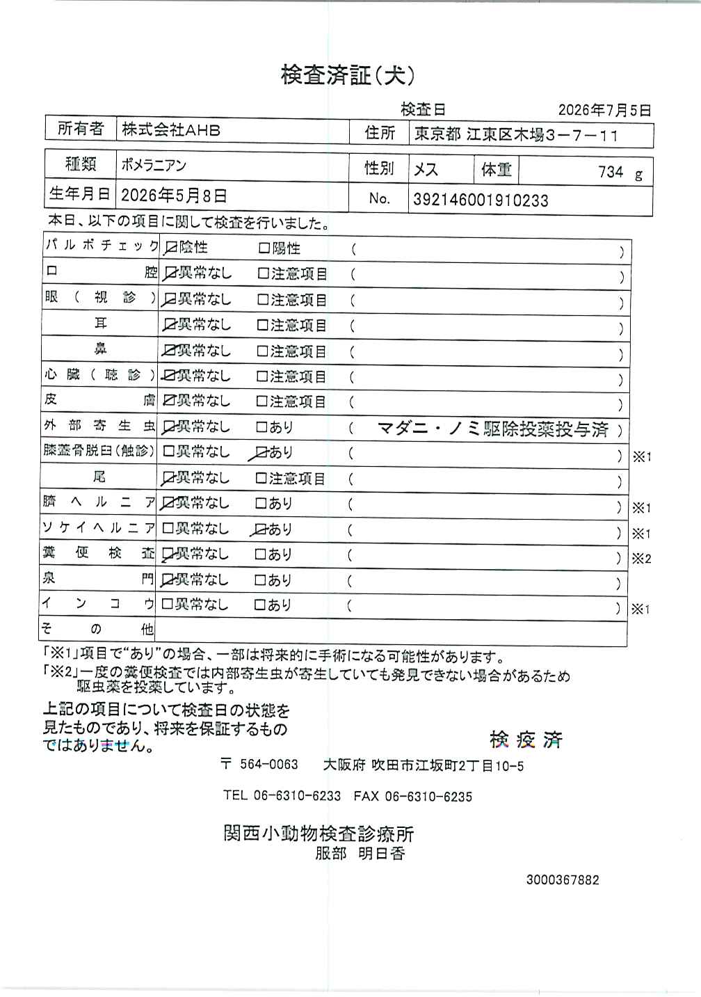 ポメラニアン