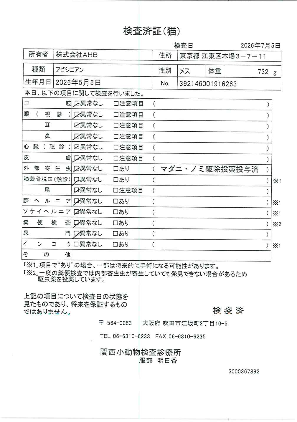 アビシニアン