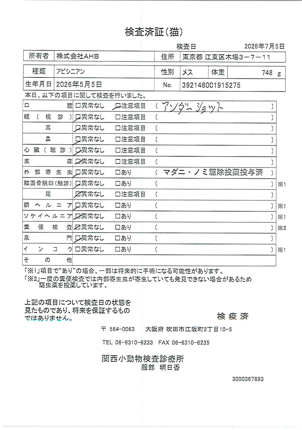 アビシニアン