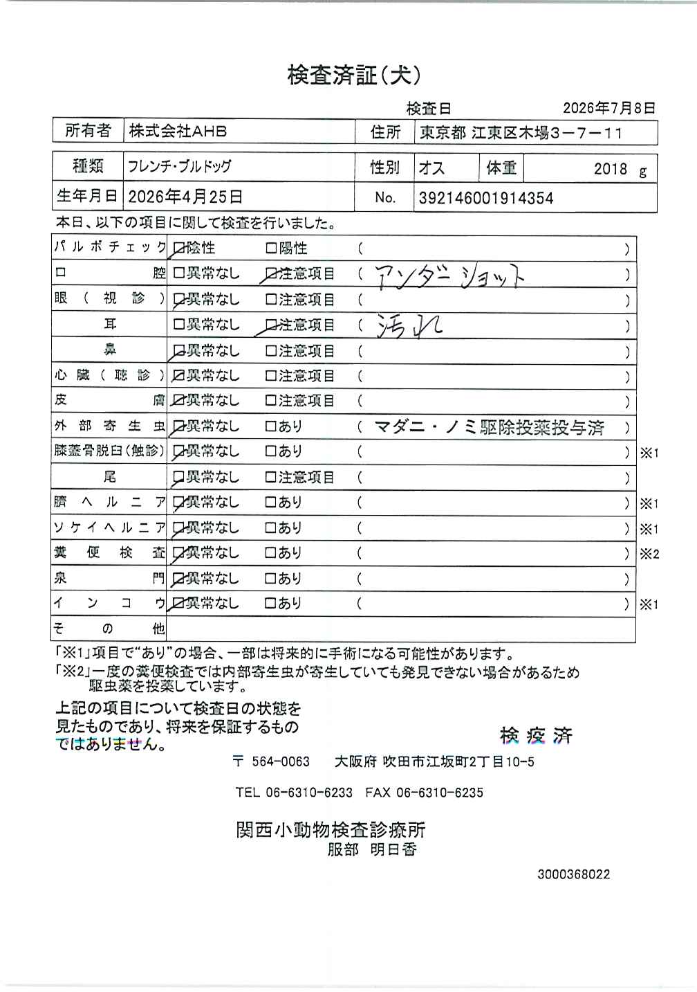 フレンチ・ブルドッグ
