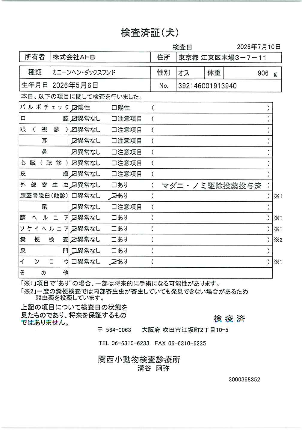 カニーンヘン・ダックスフンド