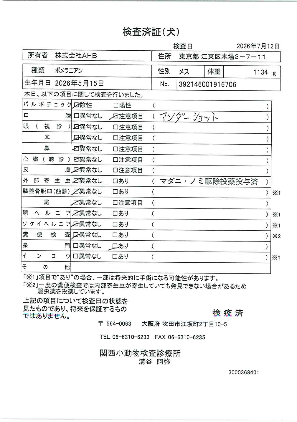 ポメラニアン
