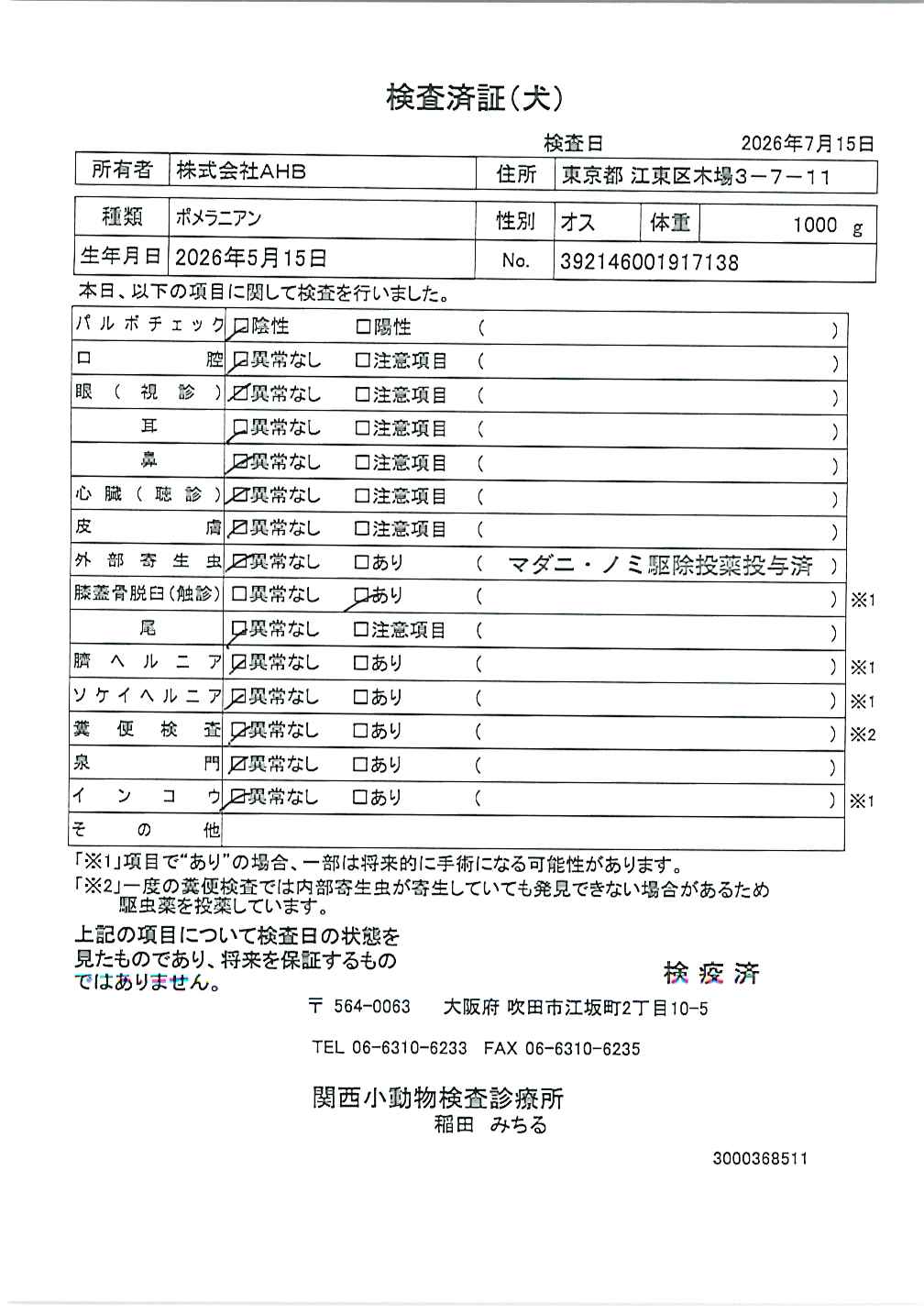 ポメラニアン
