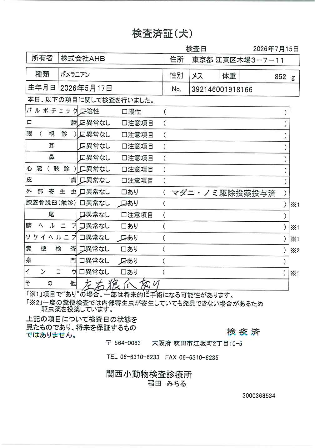 ポメラニアン