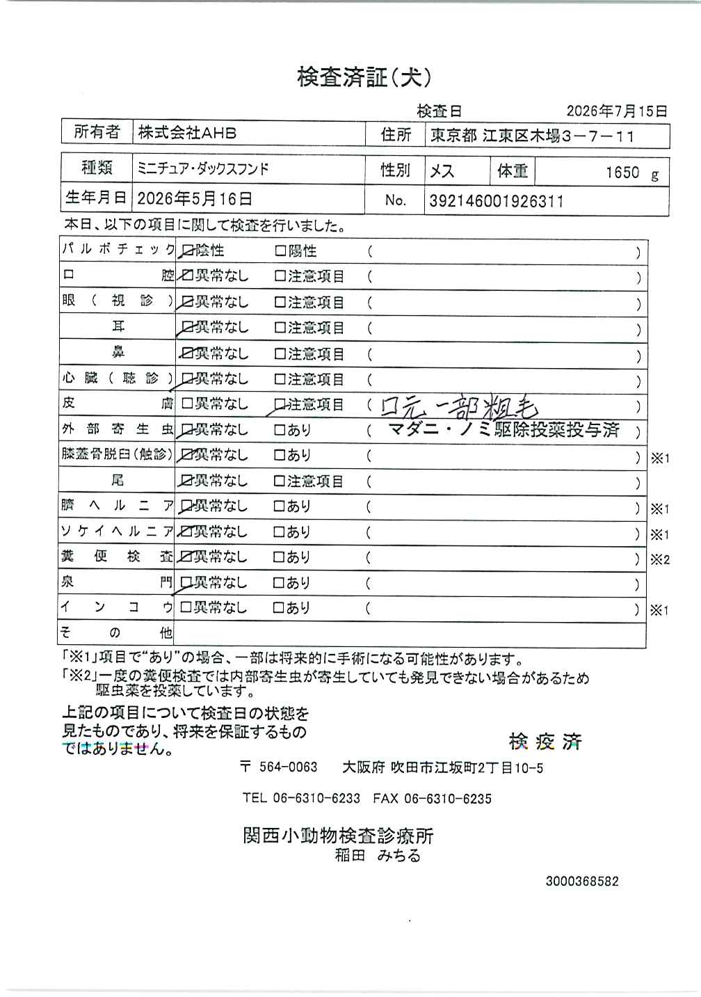 ミニチュア・ダックスフンド
