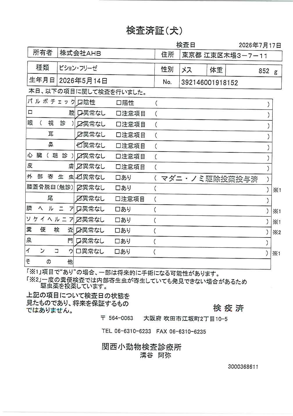ビション・フリーゼ