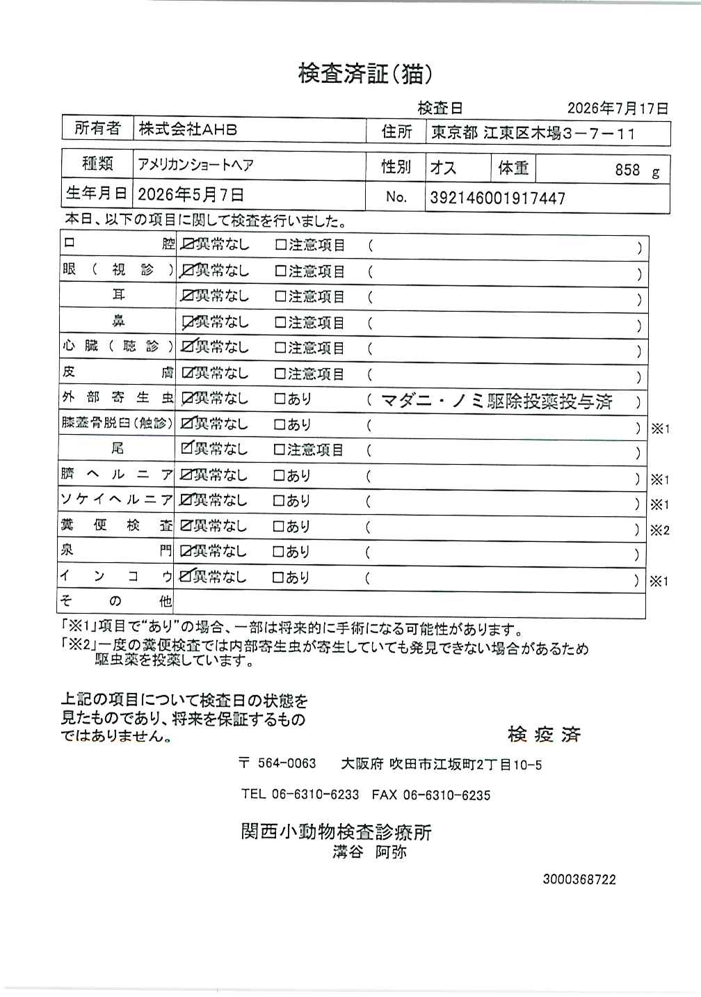 アメリカンショートヘア