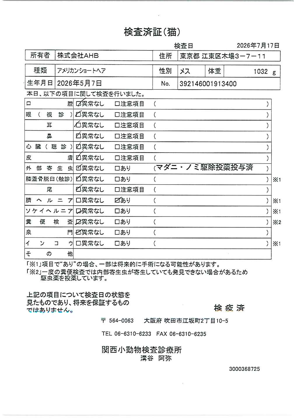 アメリカンショートヘア