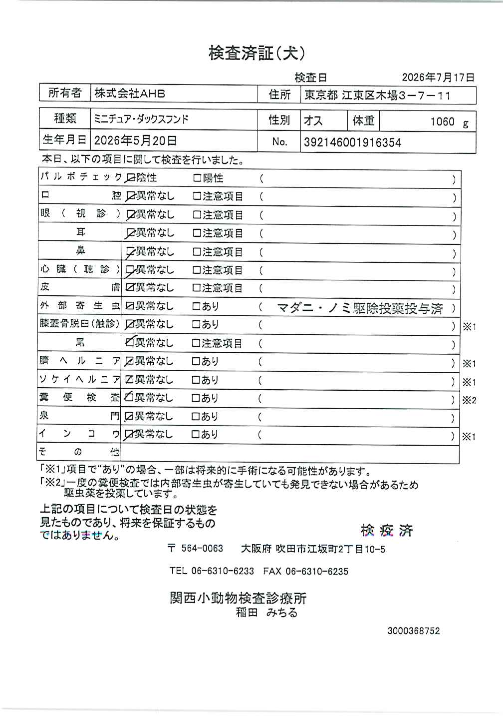 ミニチュア・ダックスフンド