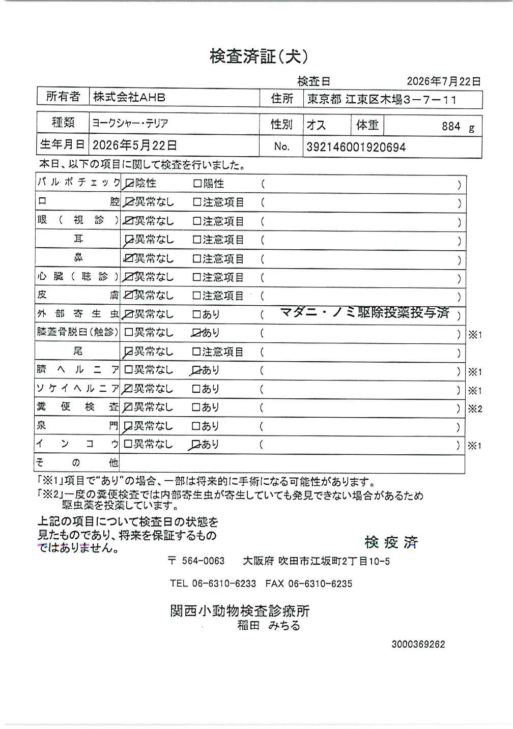 ヨークシャー・テリア