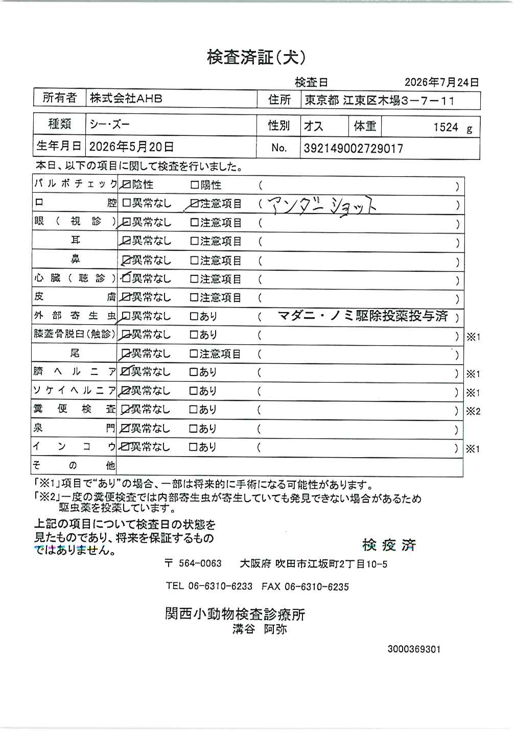 シー・ズー