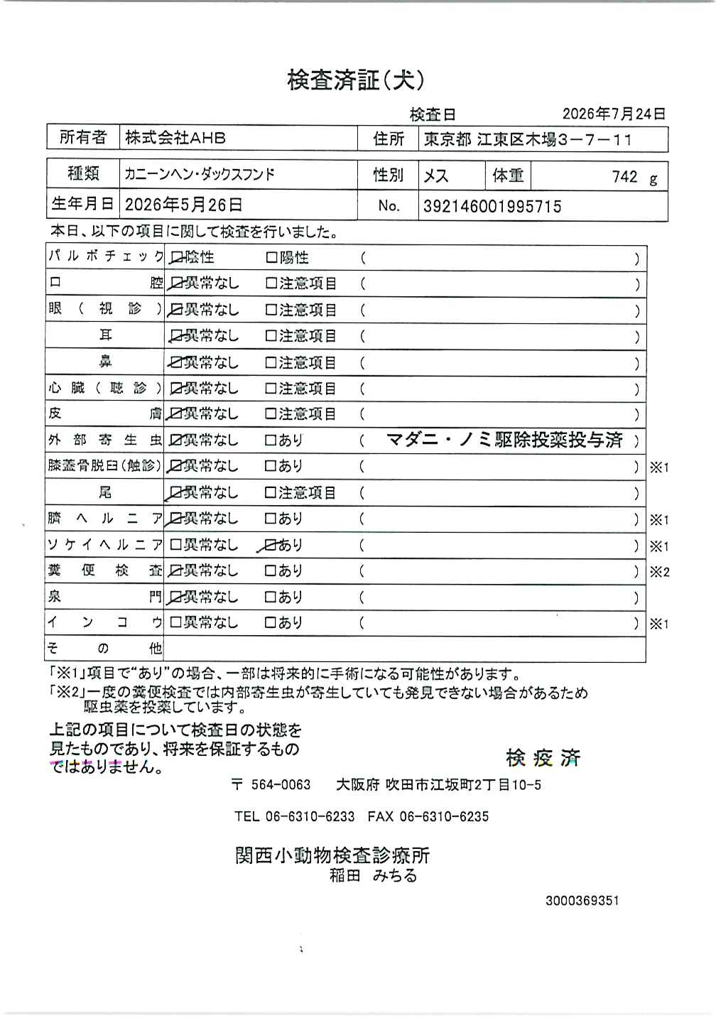 カニーンヘン・ダックスフンド