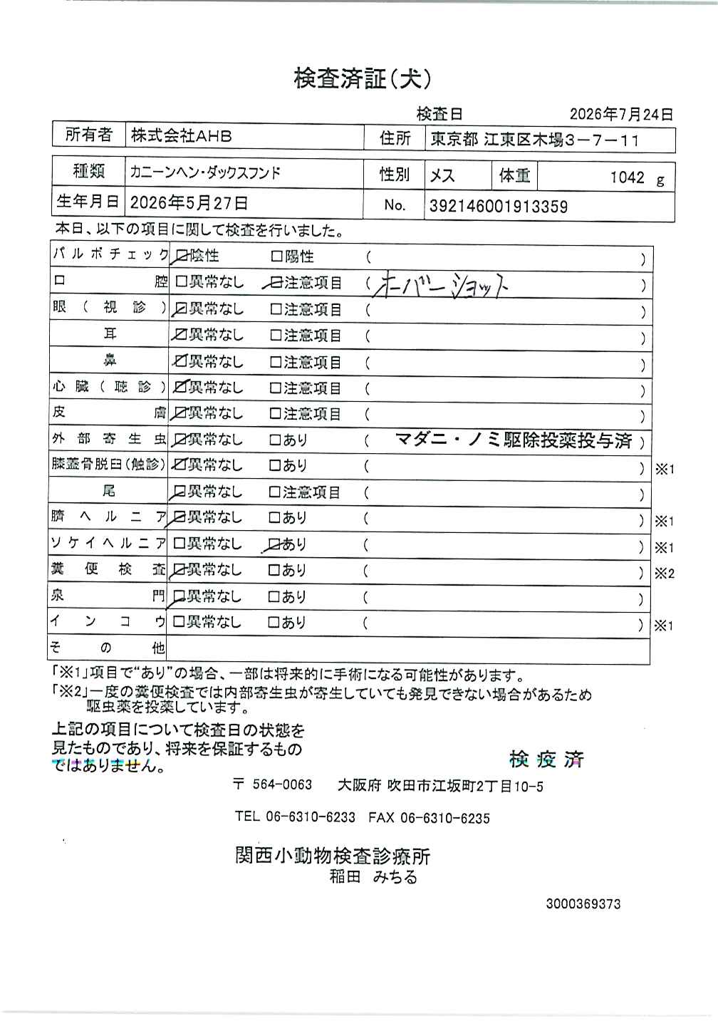 カニーンヘン・ダックスフンド