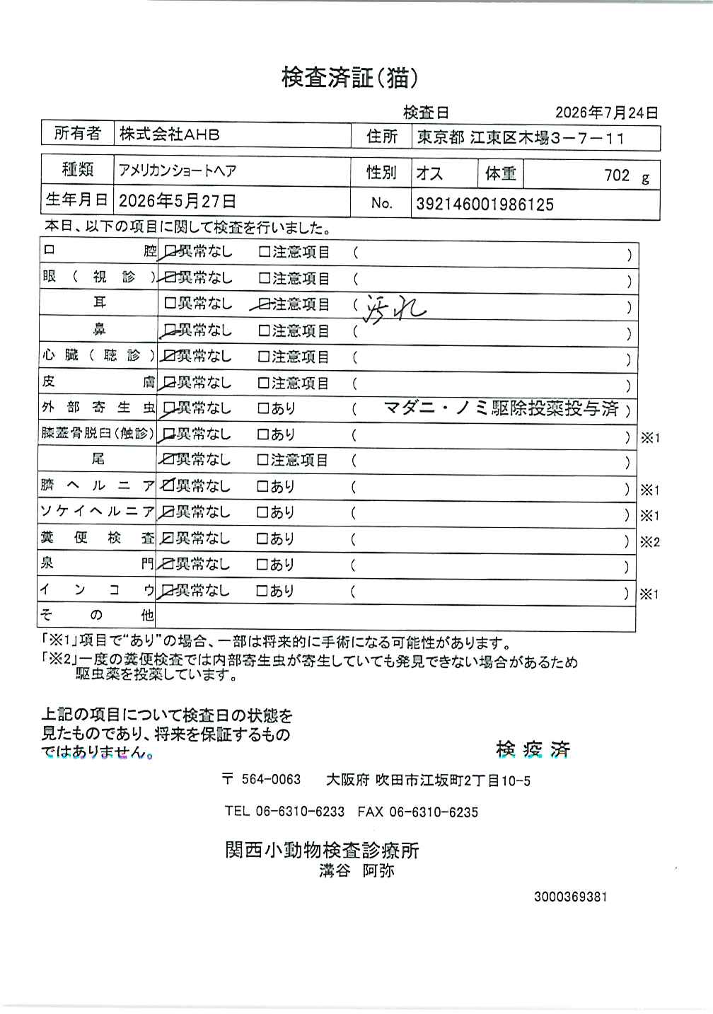 アメリカンショートヘア