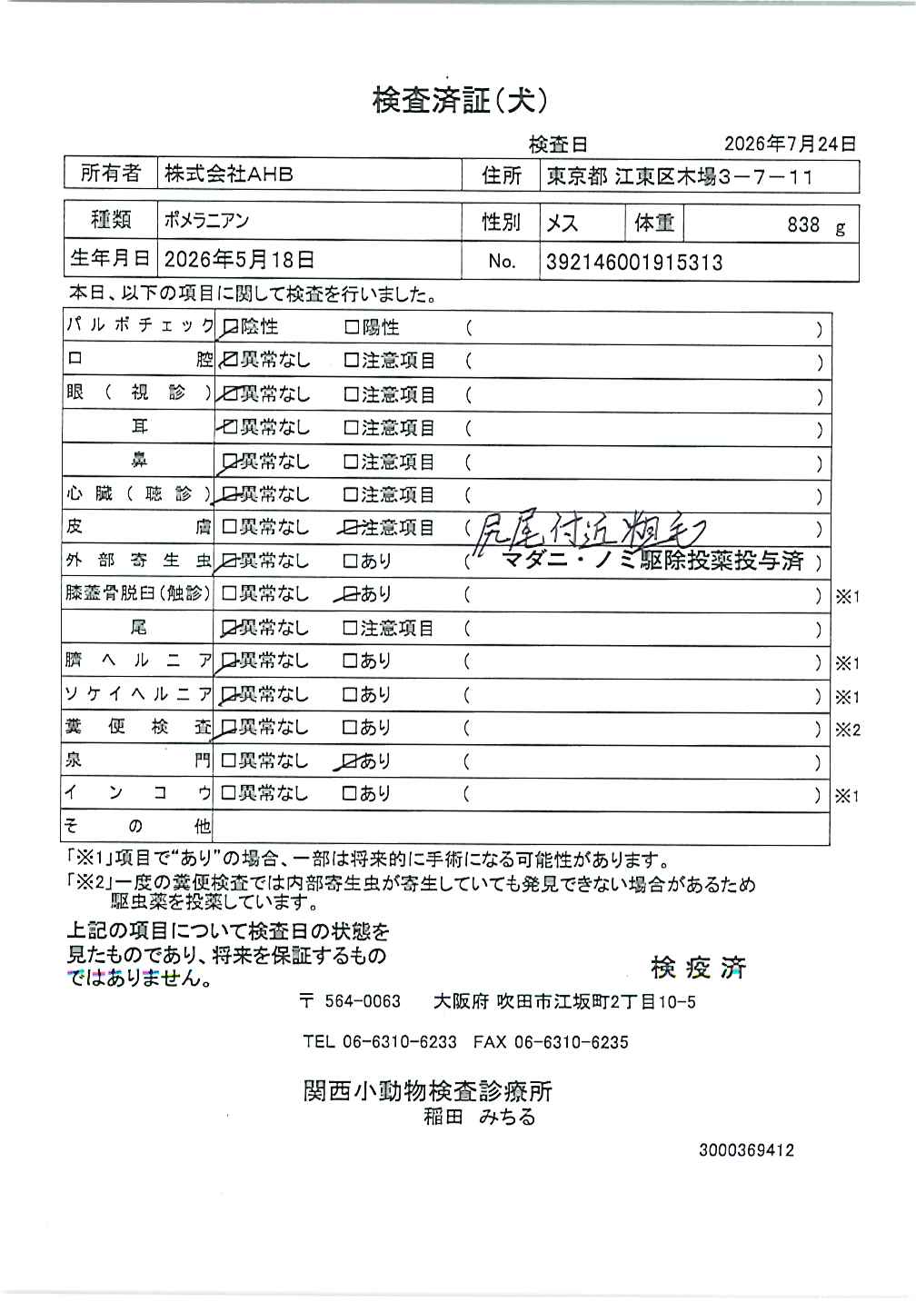ポメラニアン