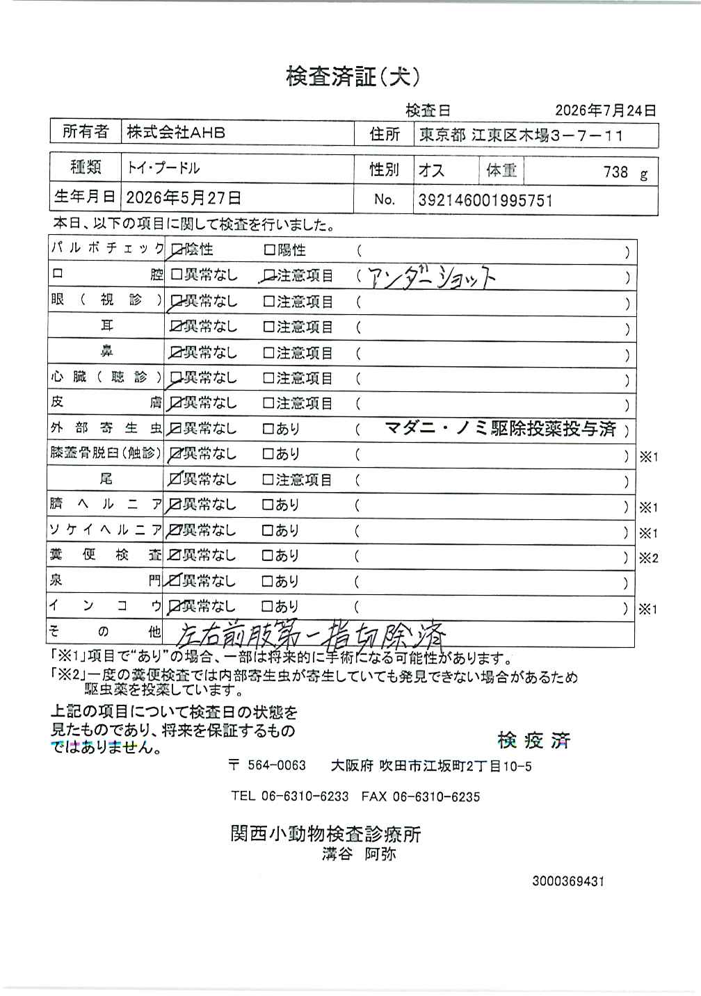 トイ・プードル
