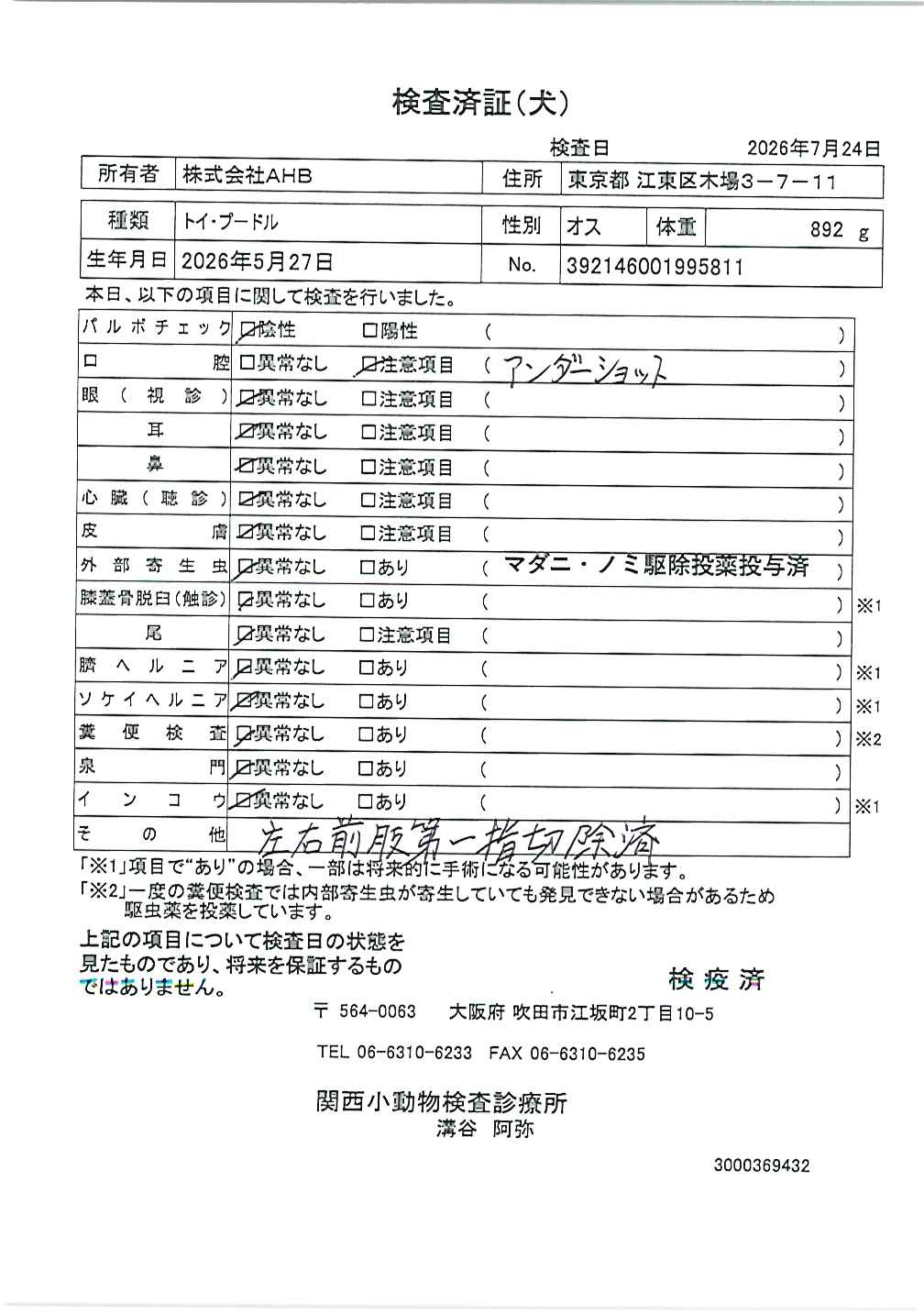 トイ・プードル