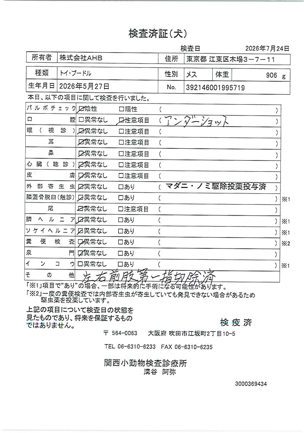 トイ・プードル