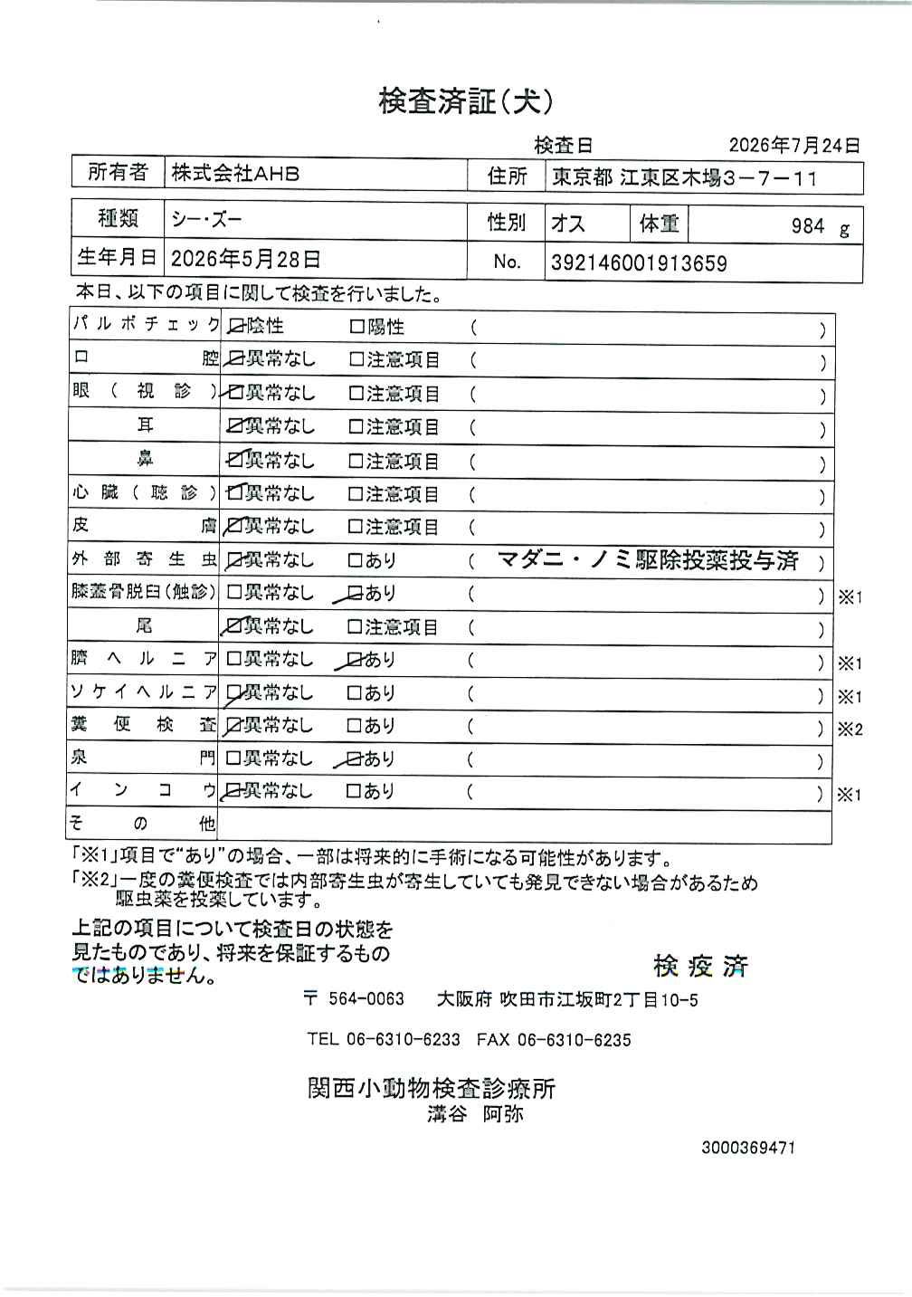 シー・ズー