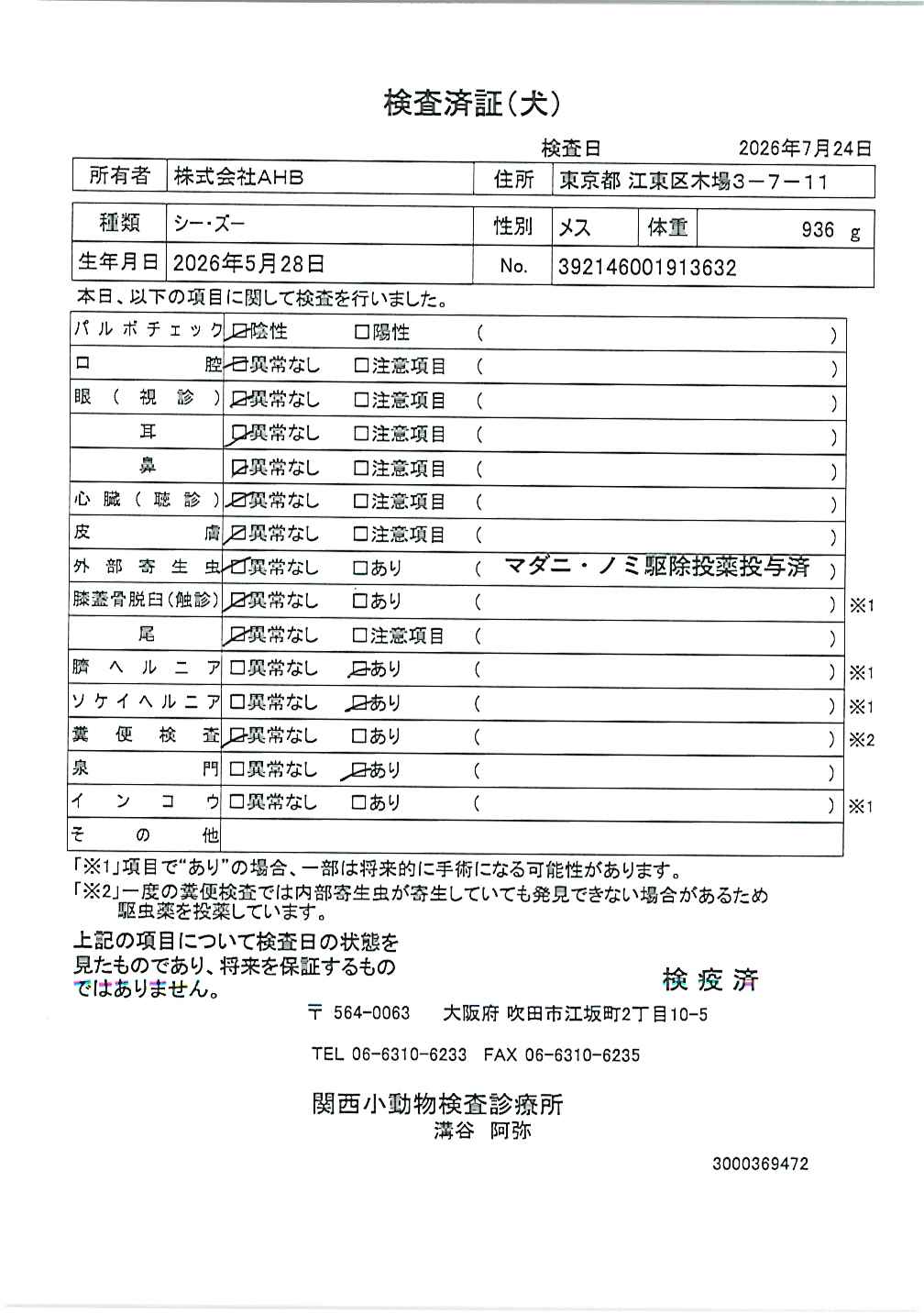 シー・ズー