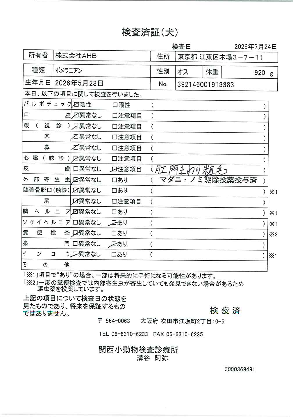 ポメラニアン