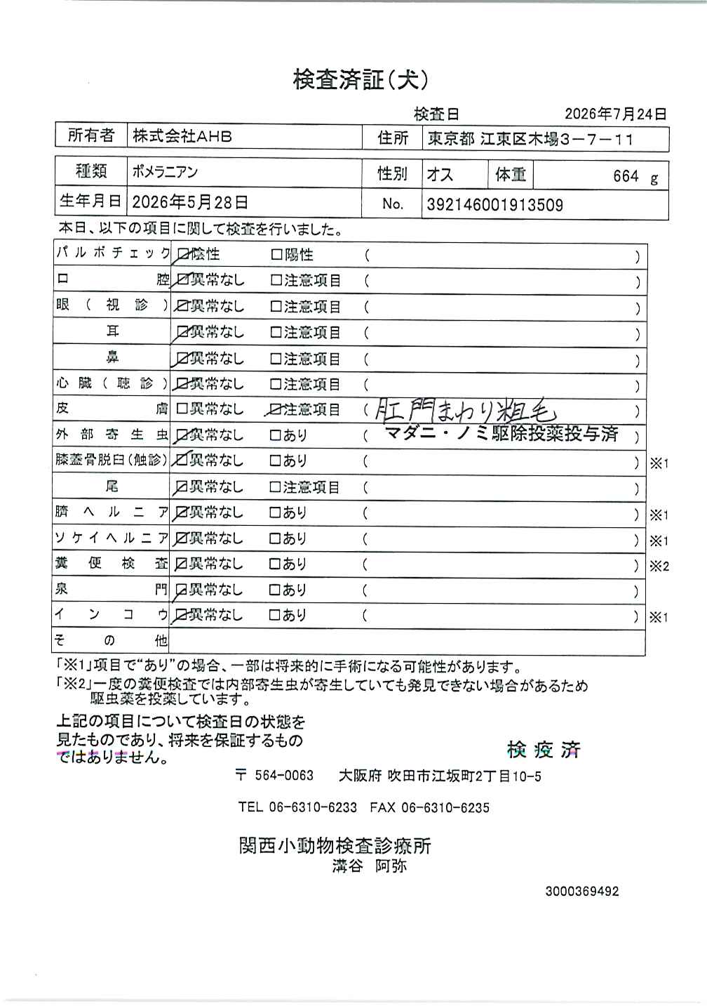 ポメラニアン