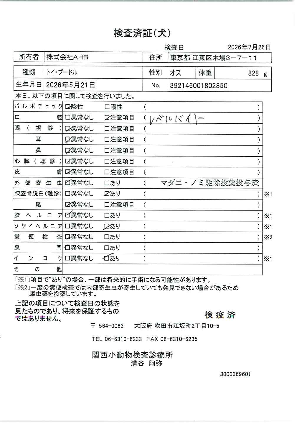 トイ・プードル
