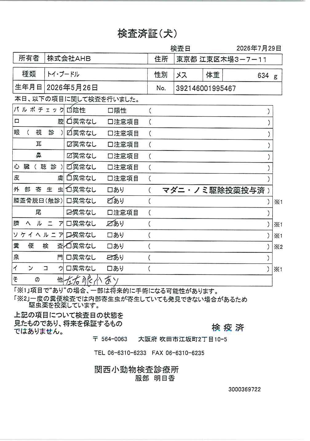 トイ・プードル