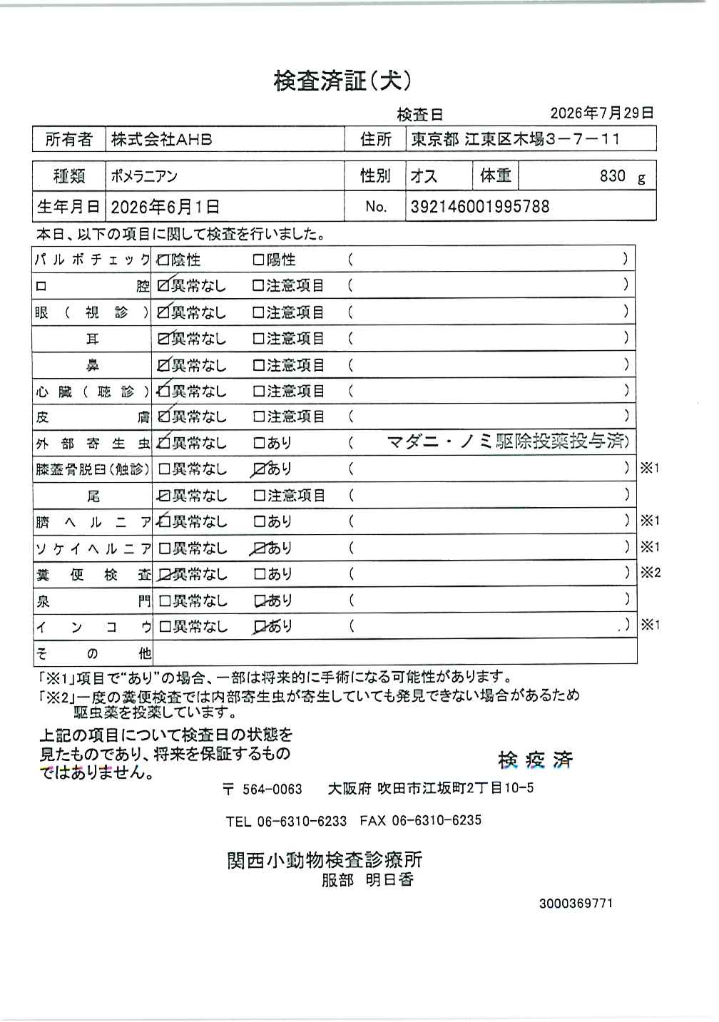 ポメラニアン