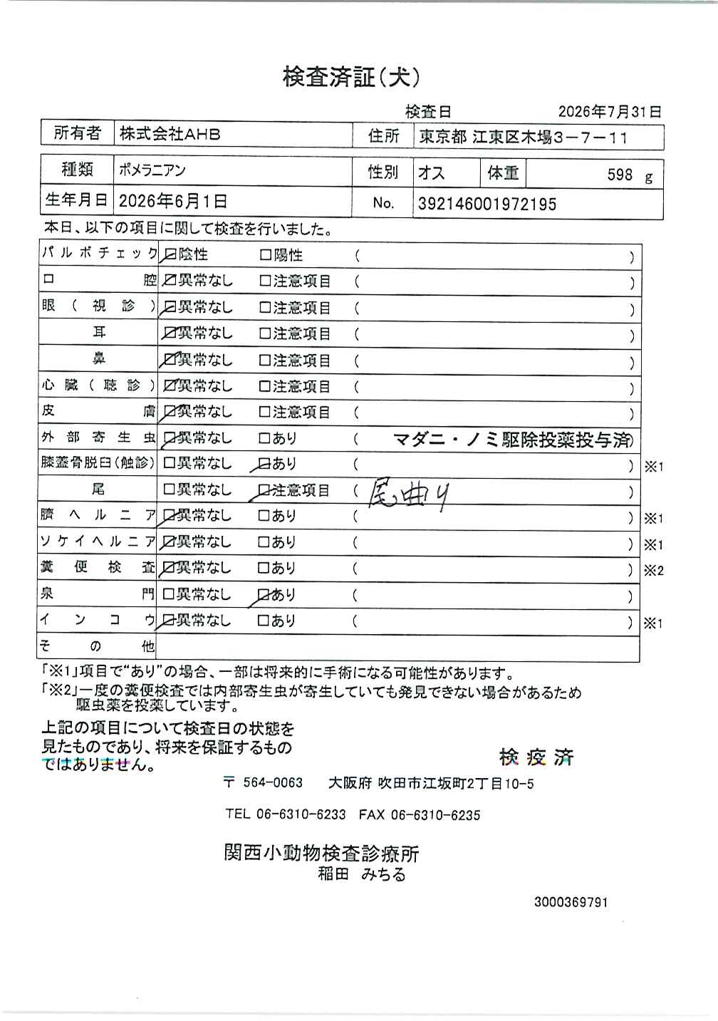 ポメラニアン