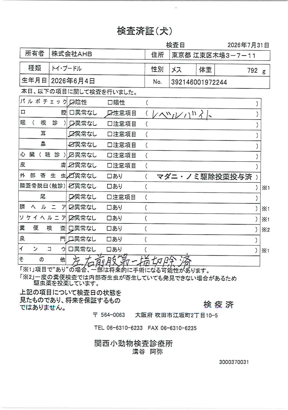 トイ・プードル
