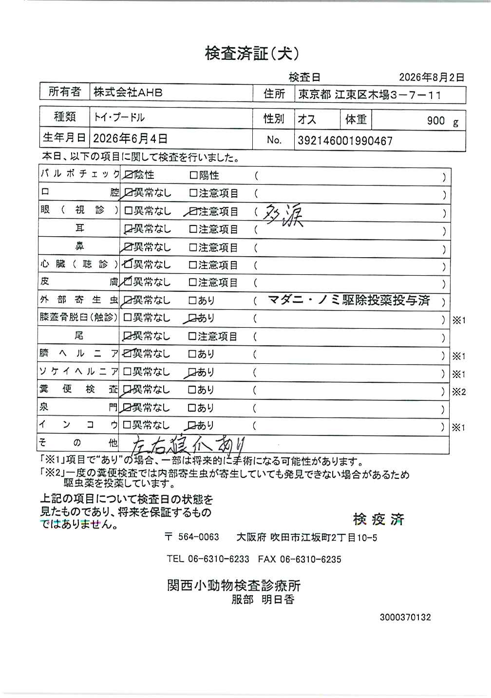 トイ・プードル