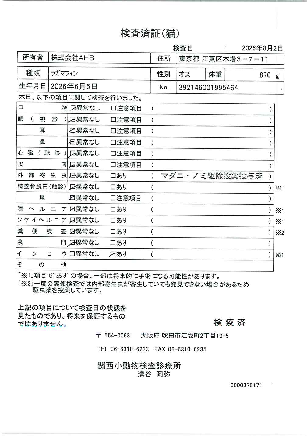 ラガマフィン