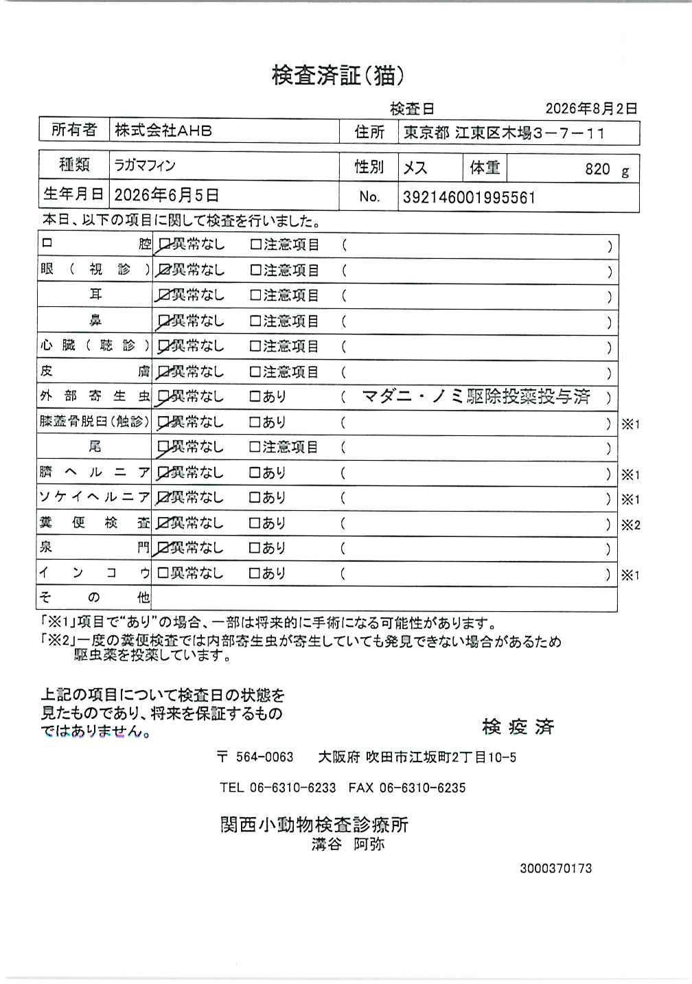 ラガマフィン