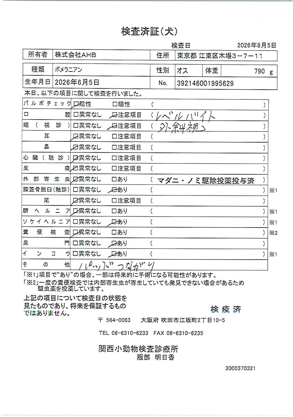 ポメラニアン