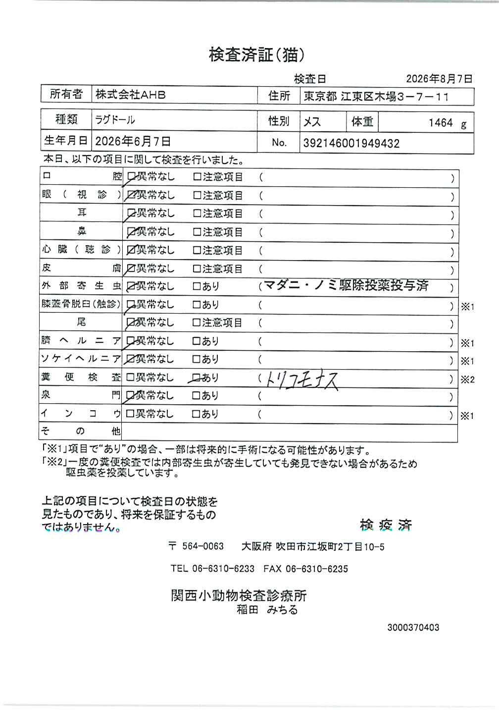 ラグドール