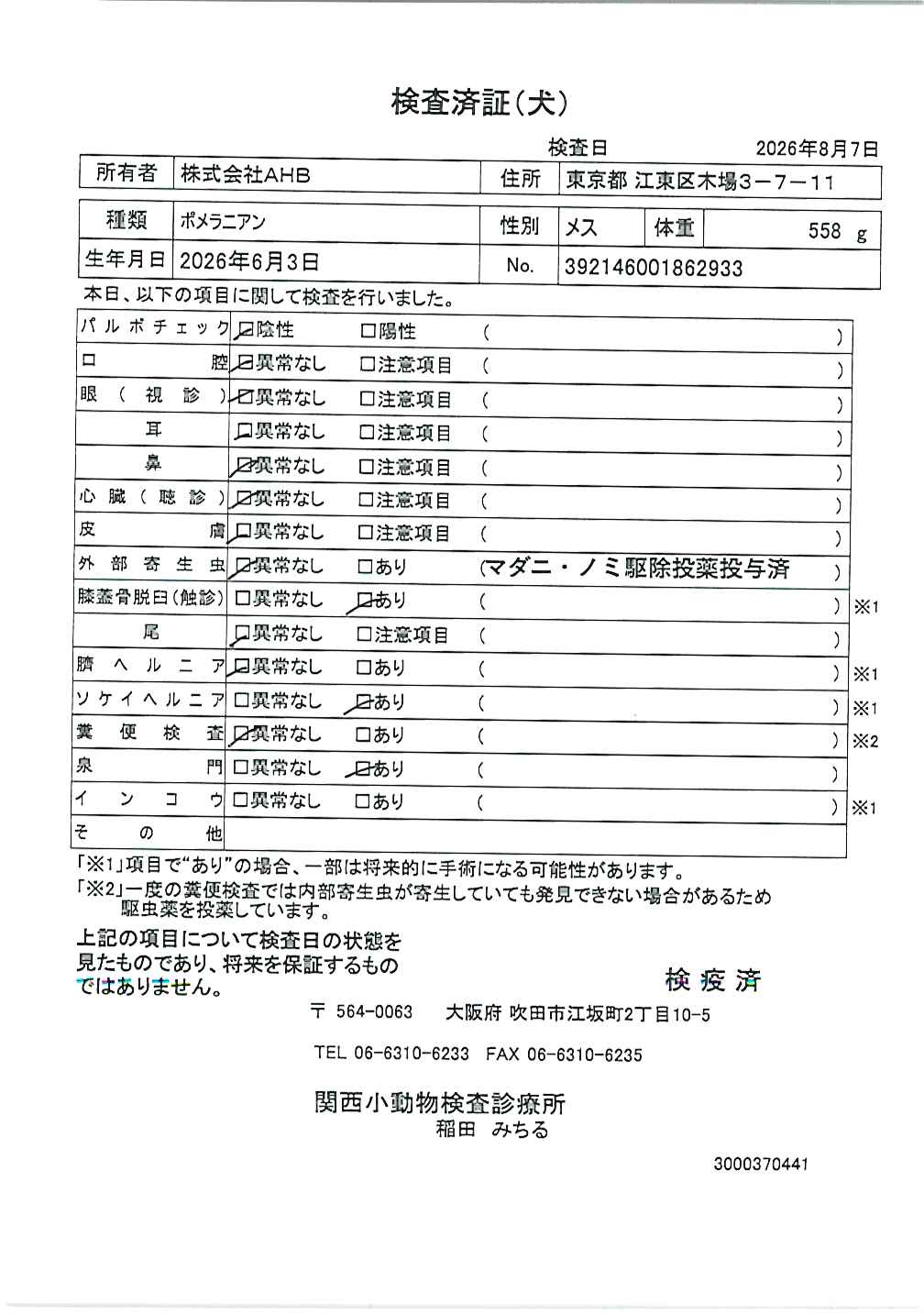 ポメラニアン