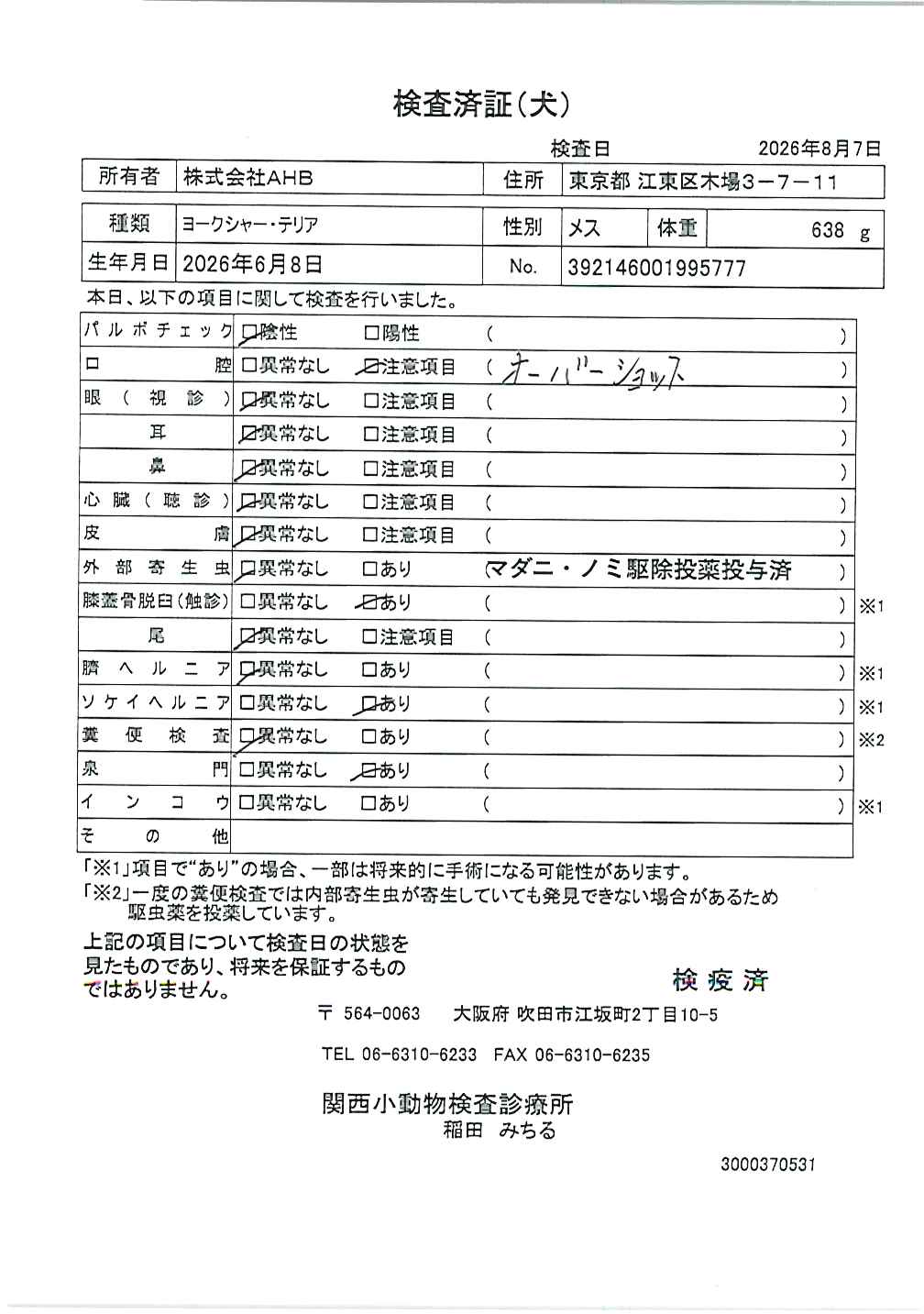 ヨークシャー・テリア