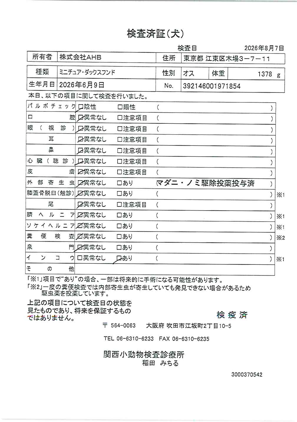 ミニチュア・ダックスフンド
