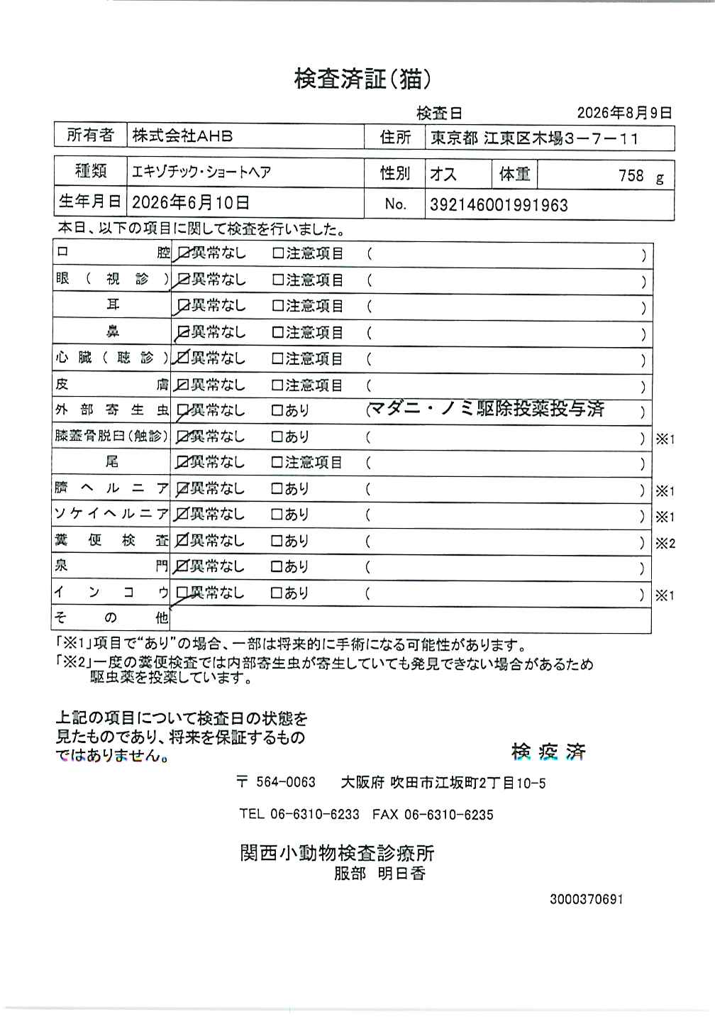 エキゾチック・ショートヘア