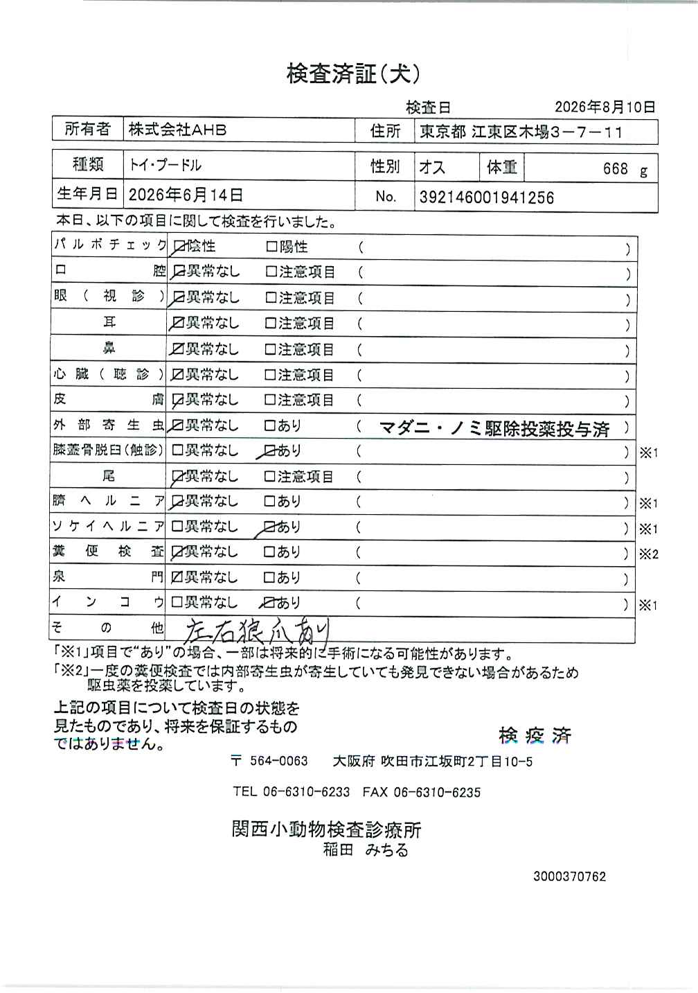 トイ・プードル