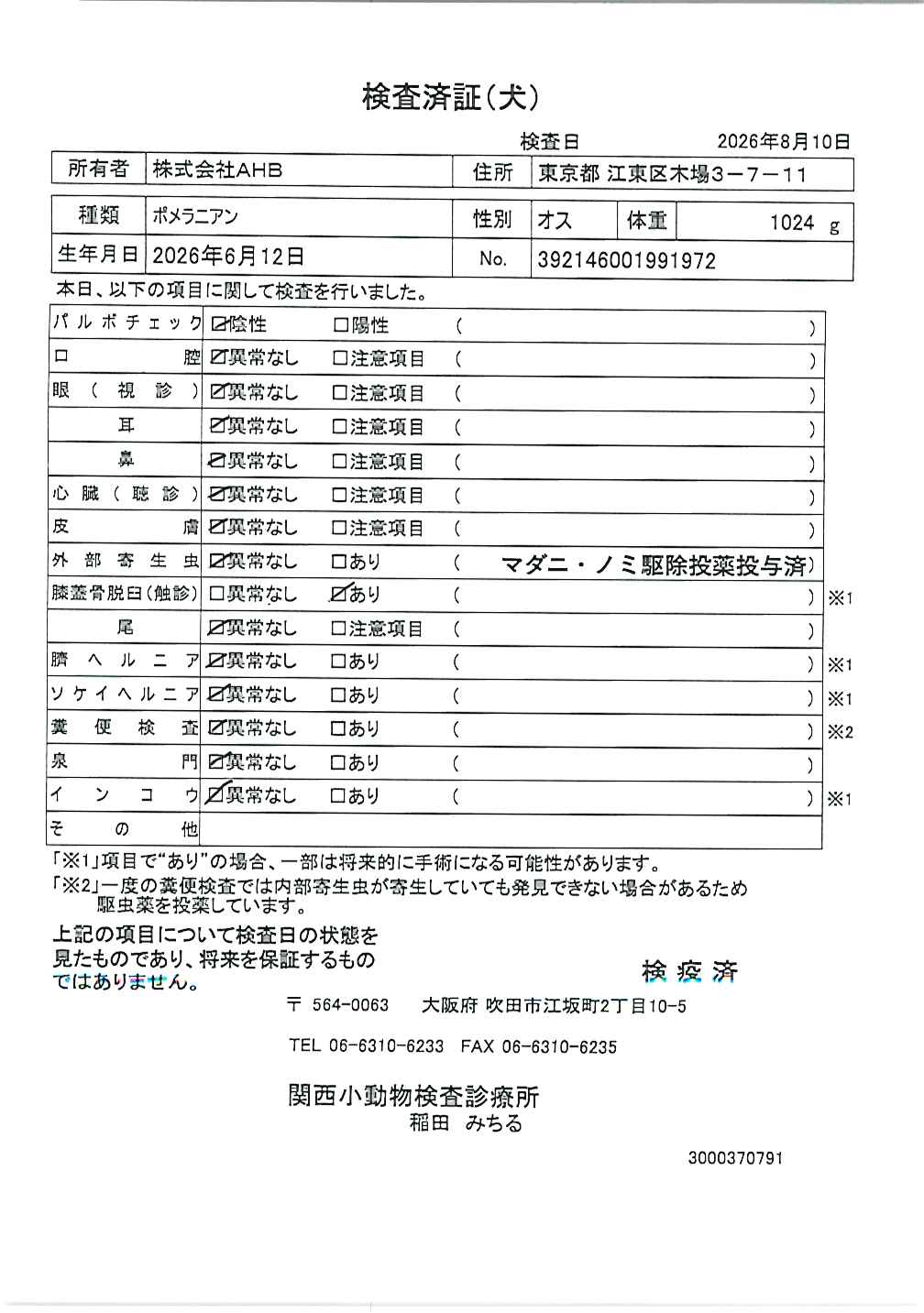 ポメラニアン