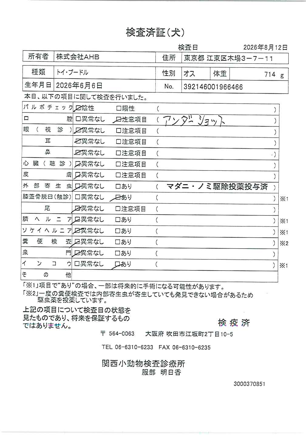 トイ・プードル